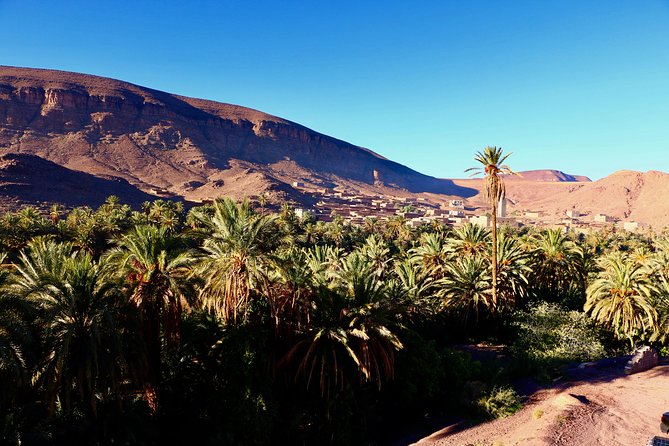 Private Full-Day Tour of Ouarzazate and Oasis Fint - Customer Reviews