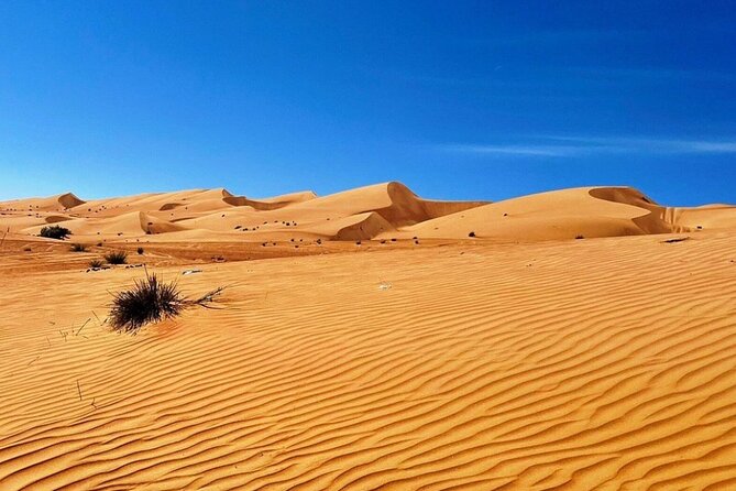 Private Full Day With Watching Desert Sunset - Frequently Asked Questions