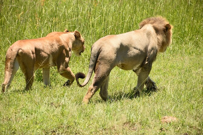 Private Guided Day Tour in Mikumi National Park - Cancellation Policy
