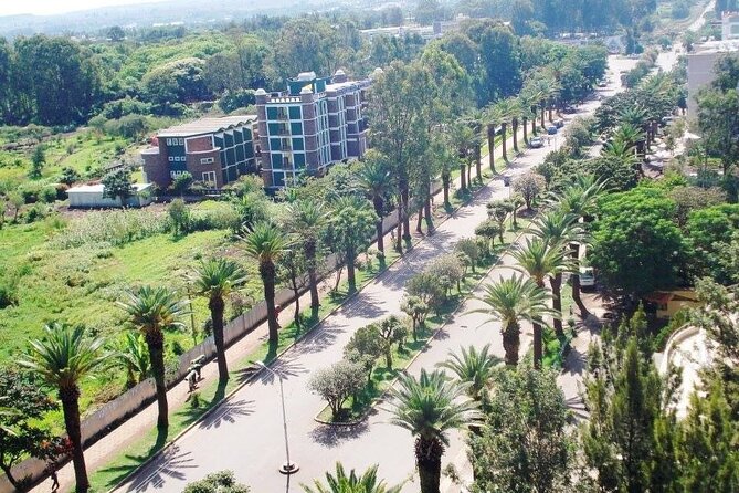 Private Guided Tours To Bahir Dar Lake Tana Monastery & Blue Nile Waterfalls - What to Expect