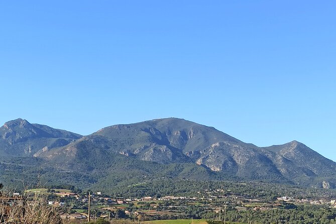 Private Half-Day Tipaza Tour Roman Ruins - Additional Details