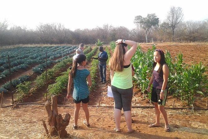 Private Half Day Tour of Rural Zimbabwe From Victoria Falls - Participation