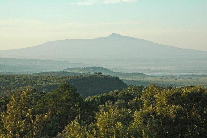 Private Hiking Day Trip to Mt. Longonot From Nairobi - Traveler Experiences