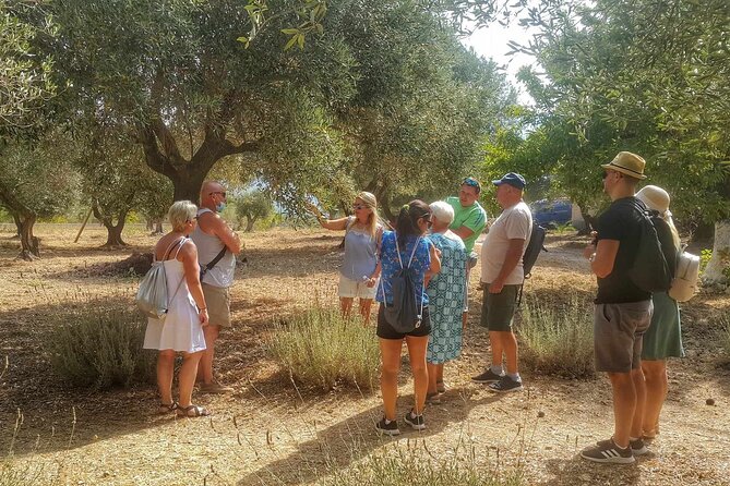 Private Kefalonian Olive Oil, Organic Farm and Wine Tour - The Sum Up