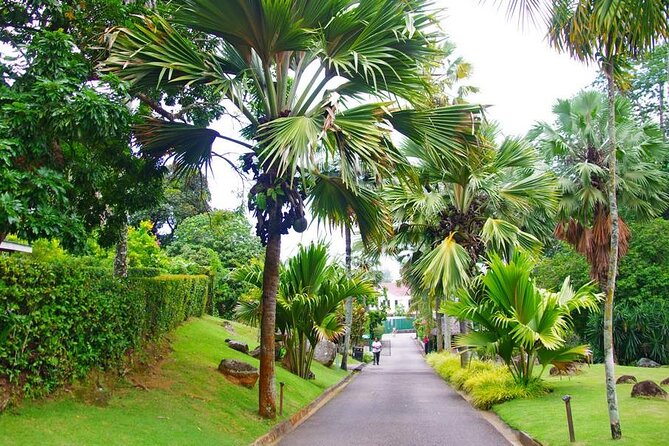 Private Mahe Island Full Day Tour With Pickup - Cancellation Policy