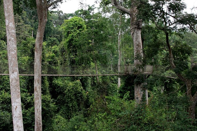 Private Multi-Day Ghana Tour About Culture History and Wildlife - 7 Days - Frequently Asked Questions