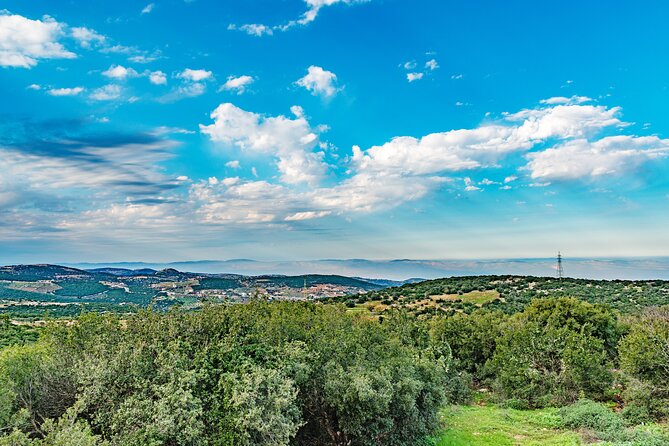 Private North Tour to Jerash, Ajloun, and Umm Qais From Amman - Frequently Asked Questions