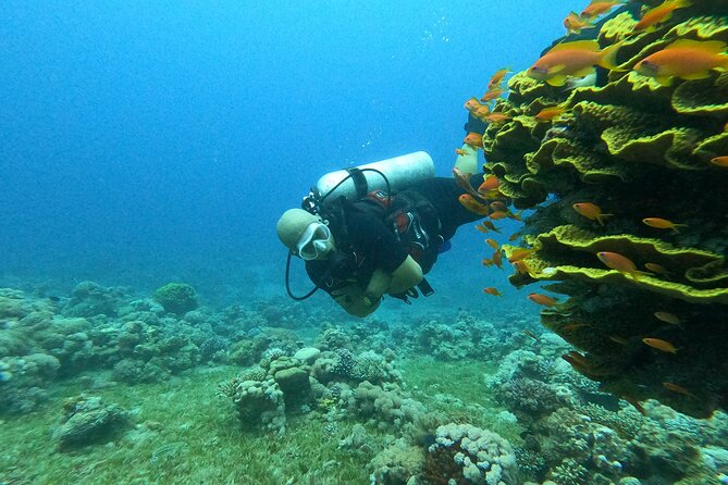 Private Scuba Diving Adventure in the Red Sea of Aqaba - Frequently Asked Questions