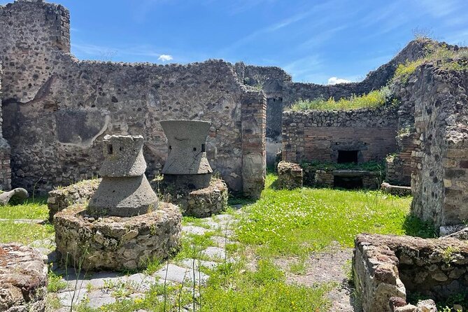 Private Skip The Line Archeo Tour Of Pompeii - Accessibility and Participation