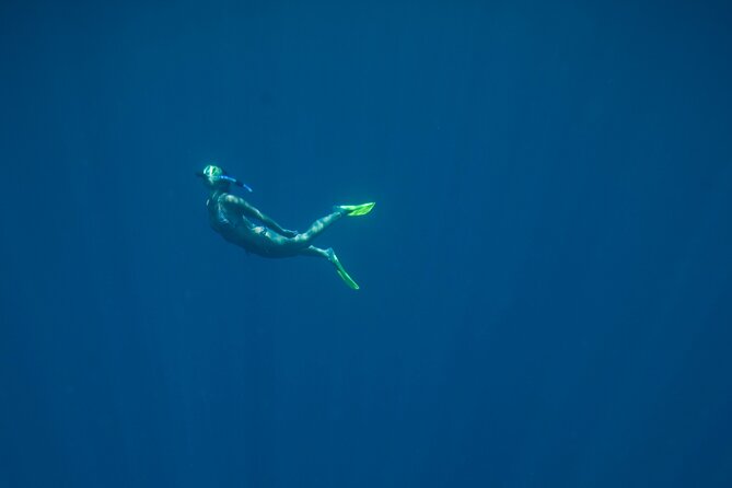Private Snorkeling Experience in Aqaba Red Sea - Book Your Unforgettable Adventure Today