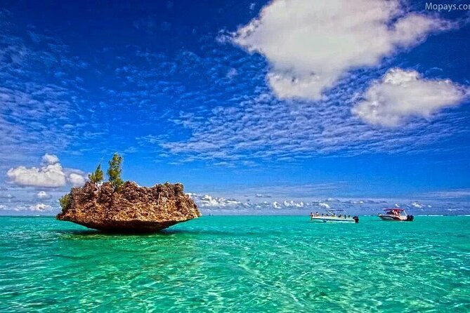 Private Speed Boat Tour and Dolphin Encounter at Ile Aux Benitier - Customer Reviews