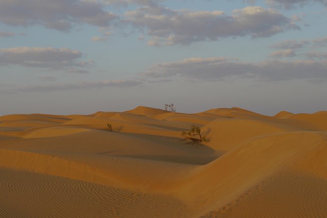 Private Tour - Empty Quarter Desert Adventure - Wadi Dawka + Ubar - Frequently Asked Questions