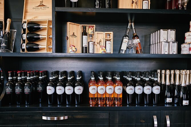 Private Tour Ercolano Ruines and Wine Tour Tasting - Accessibility and Participation