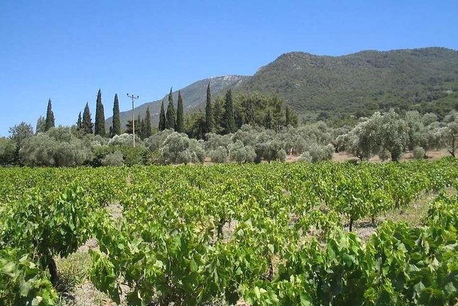 Private Tour From Kusadasi to Ephesus and Kirazli Village - Pickup Information