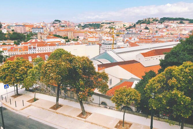 Private Tour From Lisbon to Porto, Obidos and Aveiro - Accessibility and Participation