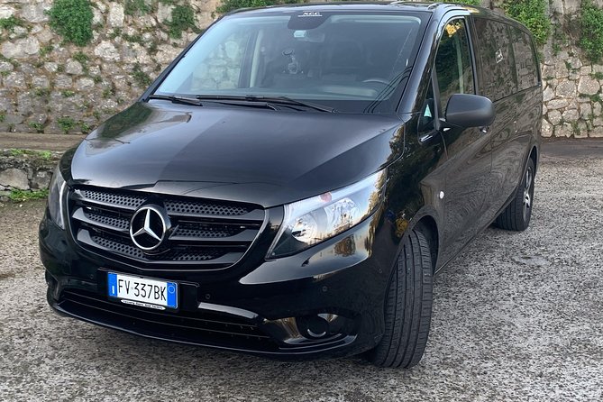 Private Tour | From Naples, Pompeii Ruins to Sorrento With Driver - The Sum Up