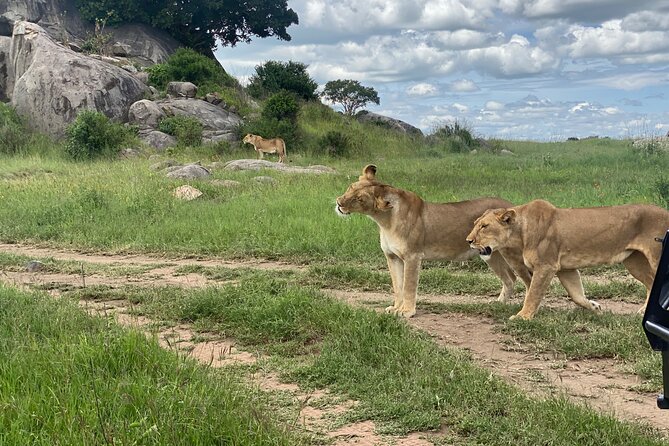 Private Tour in Arusha National Park - Tour Inclusions