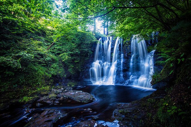 Private Tour – Irish Walled Garden, Nature & Giants Causeway