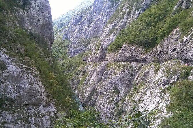 Private Tour- NP Biogradska Gora, Moraca Canyon & Monastery - Tour Start Time