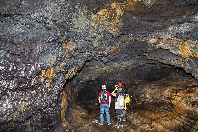 Private Tour of the Wild South With a Driver Guide - Safety and Cancellation Policies
