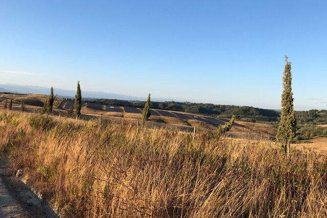 Private Tour Pisa, Countryside With Wine Tasting - The Sum Up