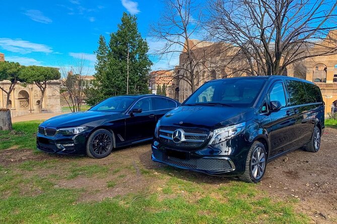 Private Transfer - La Palma Cruise Port to La Palma Airport (SPC) - Important Notes