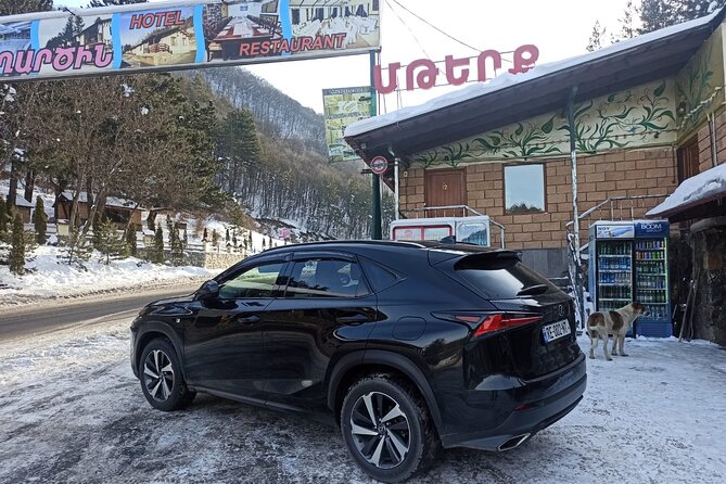 Private Transfers From Tbilisi Airport to Any Desired Destination - The Sum Up