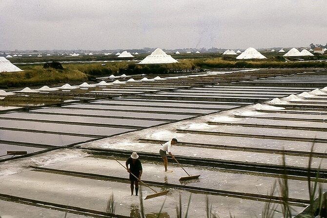 Private Trip to Aveiro and Coimbra Departing From Porto - Additional Information