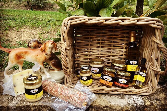 Private Truffle Hunting in Slovenia With Meal – Zdenko Tartufi