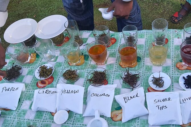 Purple Tea Farm Tour From Nairobi City - Specialty Tea Tasting - Pricing and Booking Information