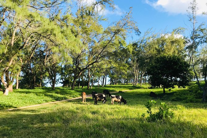 Quad Excursion South Mauritius 35km - Pricing and Refund Policy