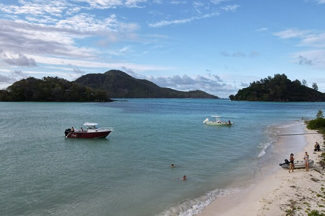 Reef Safari - Snorkeling, Fish Feeding & Lunch (Private Day Trip) - Pricing Information