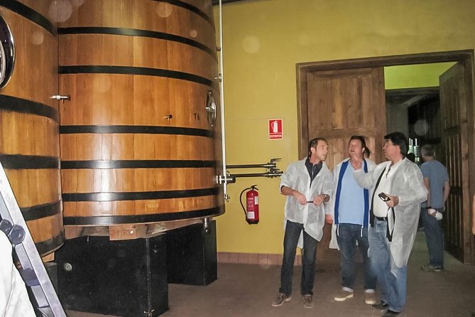 Ribera Del Duero From Madrid Full Day - Inclusions and Exclusions