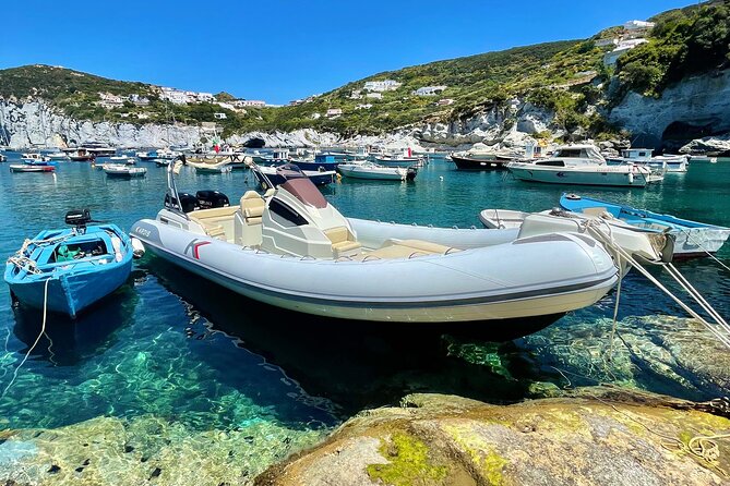 Rome to Pontine Islands, Day Trip With Lunch - Booking Information