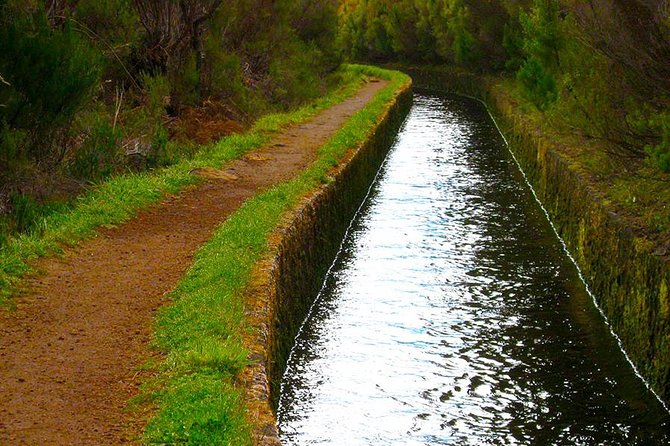 Rosemary Trail
