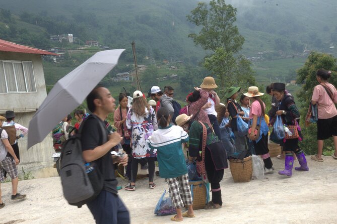 Sa Pa Full Day Trekking Tour - Pricing
