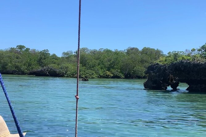 Safari Blue Boat Tour Adventure - Reviews and Recommendations