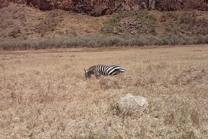 Safari Day Trip – Hell Gate, Lake Naivasha Birds Boat Safari & Crescent Walk - Additional Tour Information