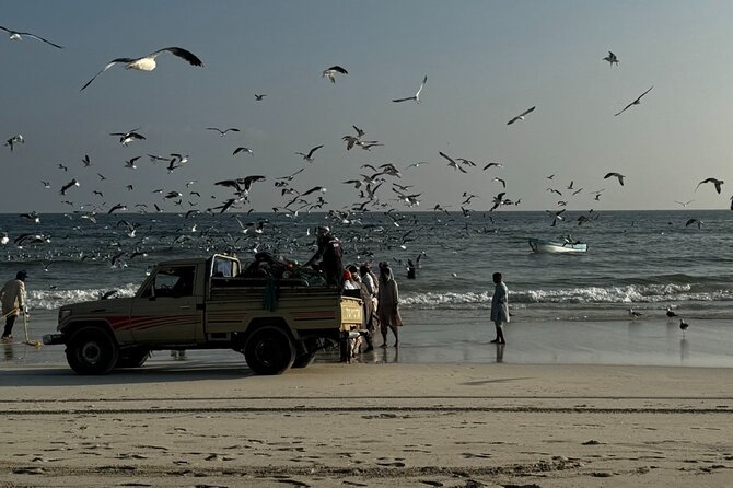 Salalah City Tour: Discover Salalahs Treasures With a Local Guide - The Sum Up