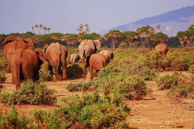 Samburu, Aberdare and Maasai Mara Adventure 11days/10nights. - Inclusions and Exclusions