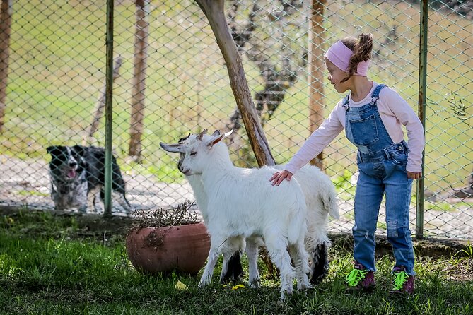San Leo Cashmere: Farm Experience - Requirements and Operator