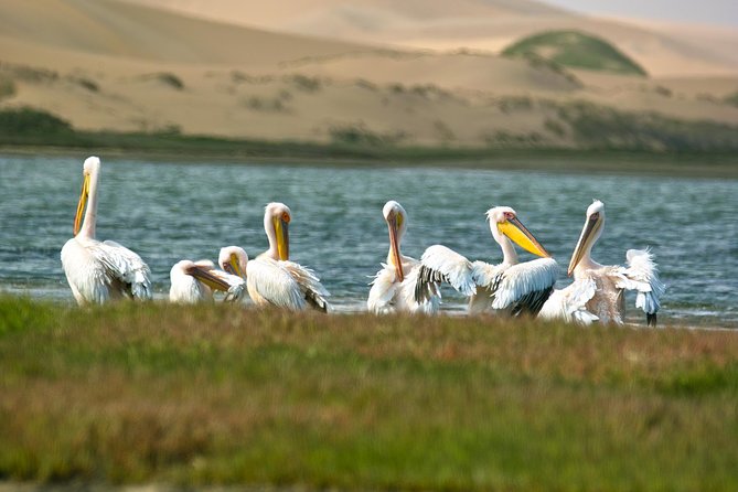 Sandwich Harbour Half-Day 4x4 Tour (5 Hours) From Walvis Bay - The Sum Up