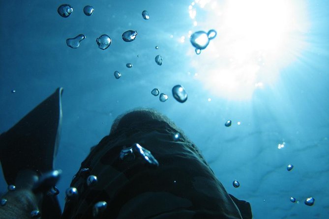 SCUBA DIVE: Kallitheas Underwater Exploration - Duration: 8-Hour Class