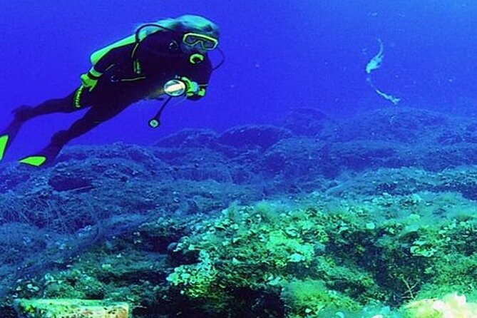 Scuba Diving Experience Tour From Side - Meeting Point Instructions