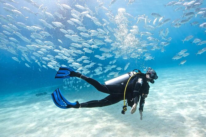 Scuba Diving Tour With Lunch & Roundtrip Transfer From Belek - Booking Information