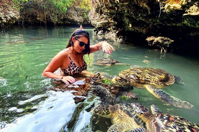 Sea Turtles Aquarium, Fishermans Village and Dhow Sunset Cruise - The Sum Up