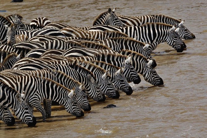 SERENGETI - 4 Days - Important Reminders