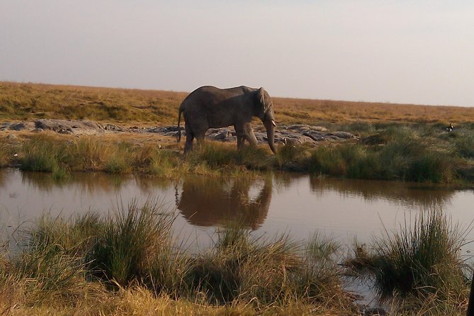 Serengeti National Park 7 Days Safaris Camping - Pricing and Reviews