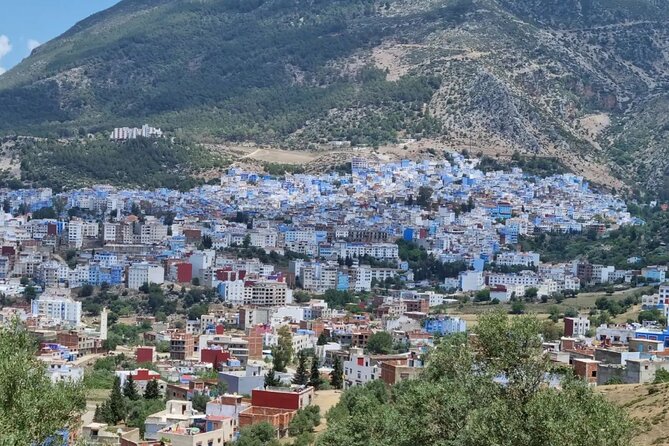 Shared Chefchaouen Day Trip From Fes - Traveler Recommendations