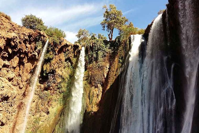 Shared Group Day Trip From Marrakech to Ouzoud Falls - Overview of the Shared Group Day Trip